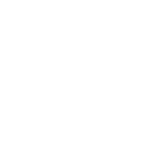 Zoom Logo